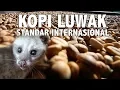 Lagu Proses Produksi Kopi Luwak Arabika