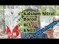 Lagu Waktu Yang Tepat Pemberian Pupuk Kalsium Agar Bunga Tidak Rontok