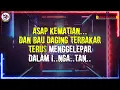 Download Lagu Celoteh Camar Tolol dan Cemar Karaoke HQ Cover Metal by Sim Kuring