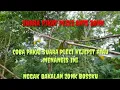Download Lagu 🔴 SUARA PIKAT BURUNG PLECI KEJEPIT ATAU MENANGIS ,ANTI ZONK AYO DI COBA ‼️