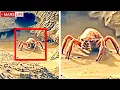 Download Lagu Disturbing Discoveries Made On Mars That Were Quietly Covered Up