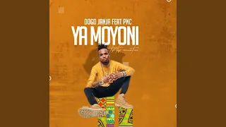 ya moyoni feat pnc