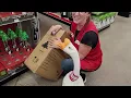 Shopping Trip with George