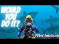 1500 A DAY Welding Underwater LIFE EXPECTANCY SHARKS HOW DEEP