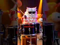 Download Lagu Kucing Gendut Main Drum, Bikin Konser Sendiri! 😹🔥#shorts