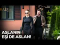 İnsan Aşık Olduğu İçin, Her Gün Ölümle Burun Buruna Gelir Mİ? - Aile