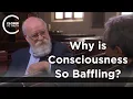 Download Lagu Daniel Dennett - Why is Consciousness so Baffling? (Part 1/2)