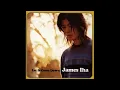 JAMES IHA - 08 Silver String