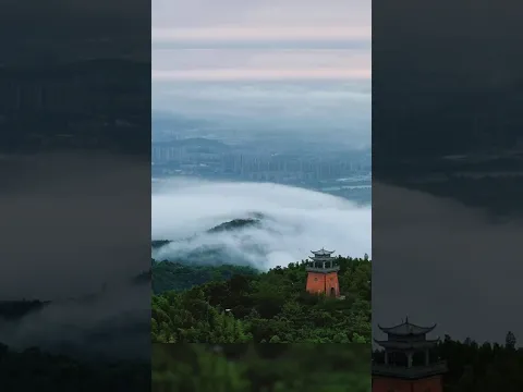 A hidden gem for sea of clouds in Hangzhou ☁️