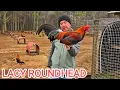 Juan Santos Lacy Roundhead Jeremy Chandler