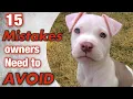 15 mistakes new pit bull owners make