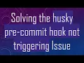 Solving the husky pre-commit hook not triggering Issue