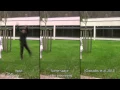 Sampling Based Scene-Space Processing