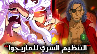 الكشف عن هوية موسى بدليل رسمي الربط الصادم بين موسى إيمو لوكي 