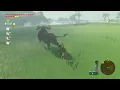 Zelda Water Buffalo Moo