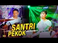 Lagu SANTRI PEKOK - Adel salsabella Ft ( FARIS KENDANG ) Live Trowulan - Mojokerto #Dhehanpro