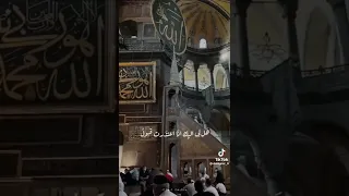 يامن له ستر على جميل 