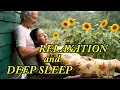 Download Lagu ASMR Rain for Deep Sleep \u0026 Relaxation | Peaceful Rain Sounds on Wooden Porch part 2