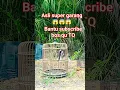 Download Lagu asli ganas!!! Kacer hutan (wild magpie)#kacer#videoshort