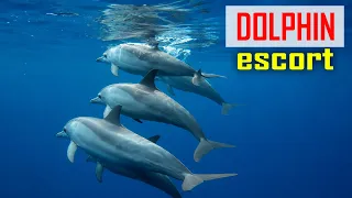 E227 – Exploring Bawean Island | The Friendliest Welcome We’ve Ever Had