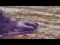 Bigfoot s Bride Teaser