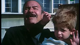 مين علمك يا طير  محمد الحلو   من فيلم البركان   يحيى الفخرانى   شريف منير   دندنها