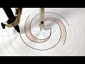 The geometry of a double spiral
