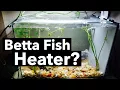 Heater for Betta Fish Water Temperature