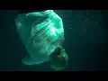 High Pulp - "You've Got To Pull It Up From The Ground" (feat. Theo Croker)