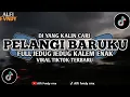 Download Lagu DJ PELANGI BARUKU (Dhyo haw) VIRAL TIKTOK TERBARU 2024 (remix version)