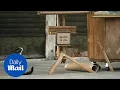 Video di Banksy releases video of new artwork in Venice