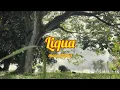 Download Lagu Liqua - Masa Depan (Official Lyric Video)