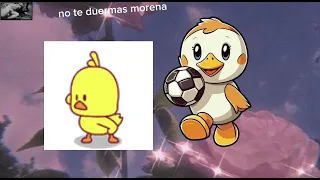 No te duermas morena- sgorr