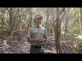 Waco Parks and Recreation - California 56 Hiking Trail RECess