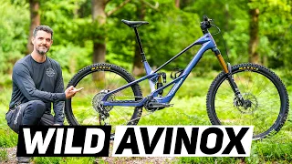 2027 Orbea Wild, Avinox Power & Big Upgrades