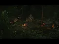 Download Lagu Encampment | Forest Sounds at Night
