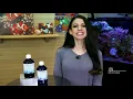 Acro Eating Flatworms?! Try These Tips And KZ Flatworm Stop & Coral Booster In Your Reef Tank FIRST.