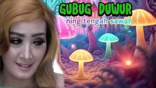 nunung alvi gubug duwur ning in the middle of the rice fields