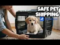 How to Safely Ship Your Pet to Another State - Ultimate Guide