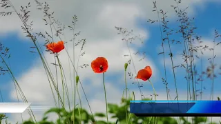 سورة الأنفال من الاية 41 الى الاية 45 مكررة ثلاث مرات الشيخ ماهر المعيقلي 