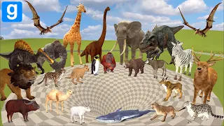 every animal falls into the big funnel who survives gmod 