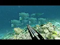 Download Lagu Mengejar Ikan Dinosaurus Di Pulau Bom Ikan