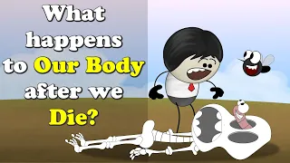 Download What happens to Our Body after we Die + more videos | #aumsum #kids #science #education #children MP3