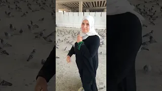 رايحه فين يا حاجه 