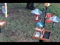 North Florida Bird Feeding - Thursday July 23 2026