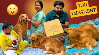 PeaNut Ne Unboxing Se Pehle Hi Parcel Phaad Diya! 😂 | The PeaNut Vlogs