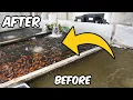 Download Lagu Inside the Koi Farm: The Drum Filters that Keep Koi Pristine