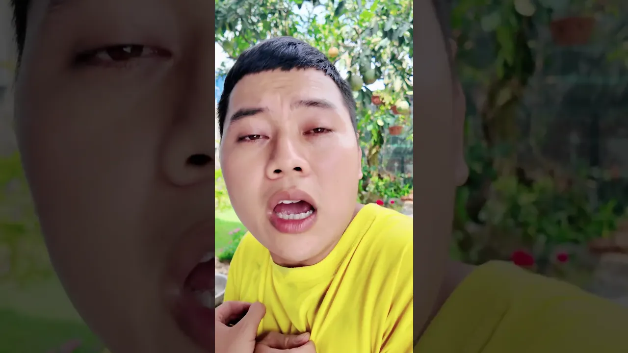 Cô vít | Tân ối á