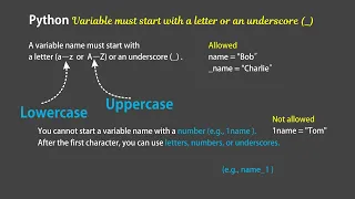 Python Variables Rules Tutorial - Basics of Variables in Python 3 for Beginners
