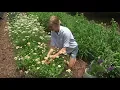 Homegrown N C Farm School Helps Flower Business Bloom